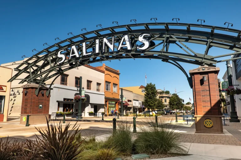 Salinas